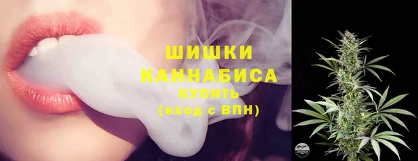 PSILOCYBIN Заволжье