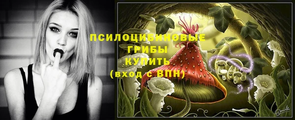 трава Заволжск