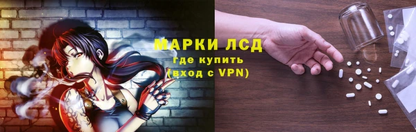 PSILOCYBIN Заволжье