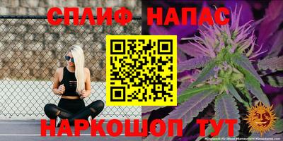 PSILOCYBIN Кандалакша