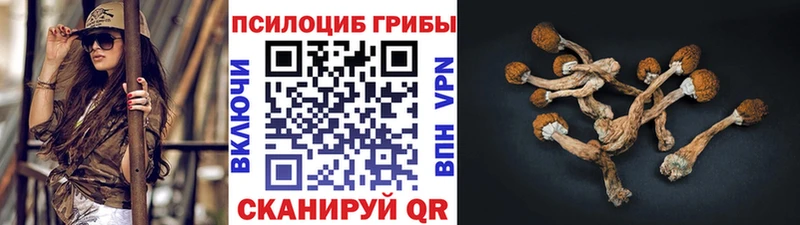 ОМГ ОМГ зеркало  Кемерово  Псилоцибиновые грибы GOLDEN TEACHER 