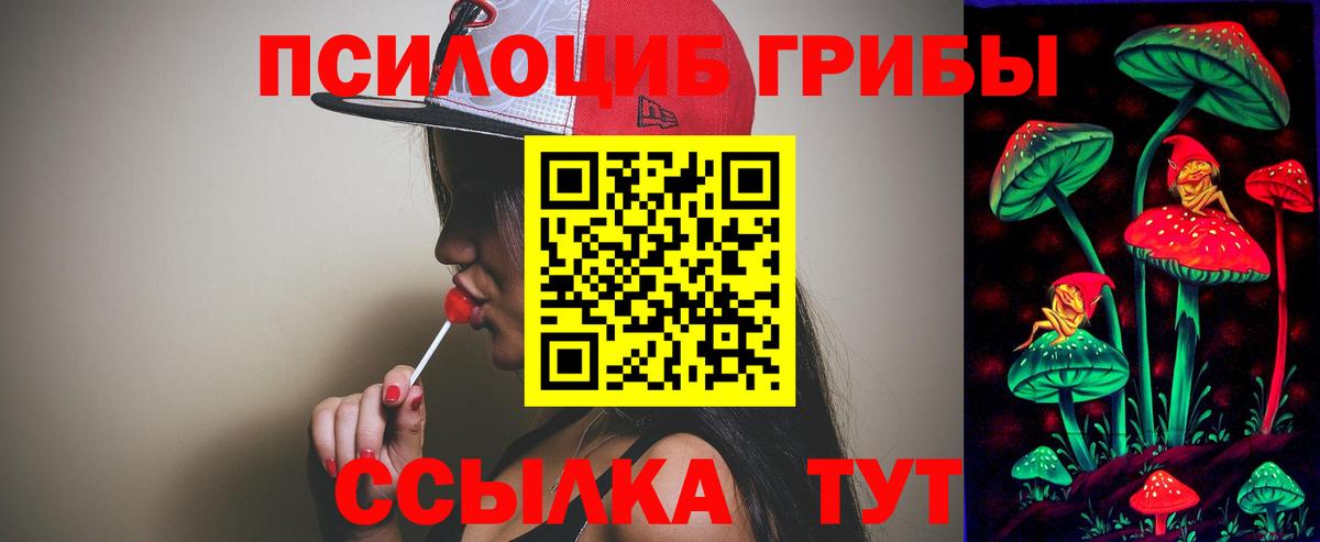 Псилоцибиновые грибы мухоморы  сколько стоит  Кемерово  Галлюциногенные грибы мицелий  Вход с VPN 